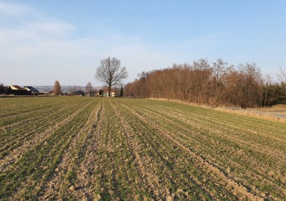 działka na sprzedaż - Kocmyrzów-Luborzyca, Wilków