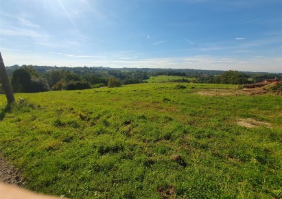 działka na sprzedaż - Mogilany, Brzyczyna