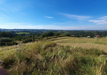 działka na sprzedaż - Mogilany, Brzyczyna